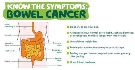 What are the Symptoms of Bowel Cancer and where to get help