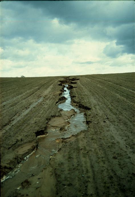 Soil erosion - Wikipedia