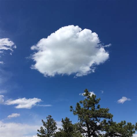 Congestus - Cloud Appreciation Society