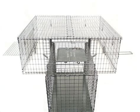 28 HQ Images Humane Cat Traps Uk / Cat Trap Transfer Cage Mobile ...