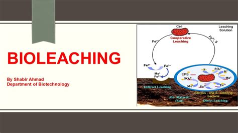 Bioleaching Process. - YouTube