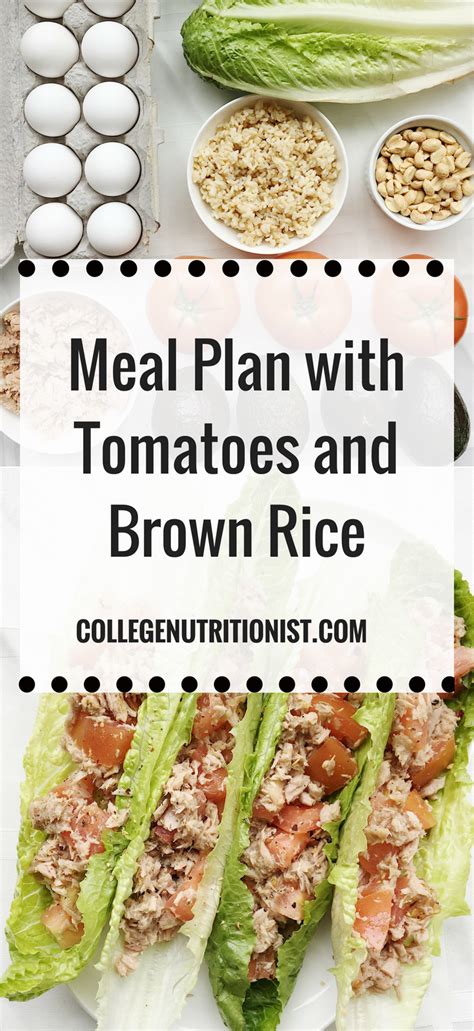 Meal Plan with Tomatoes & Brown Rice | Healthy eating snacks, Meals ...