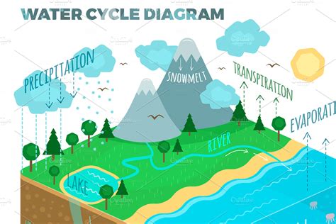 Download Simple Water Cycle Diagram With Explanation Pics | diagrammlower