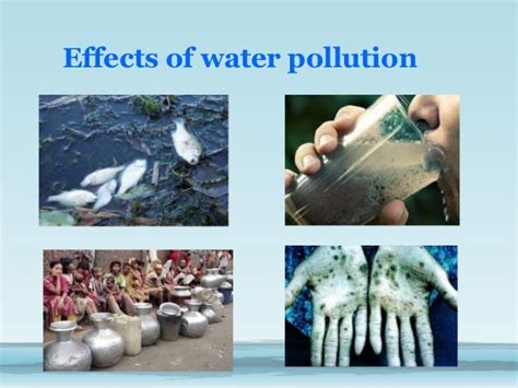 Water pollution effects (1) (1)