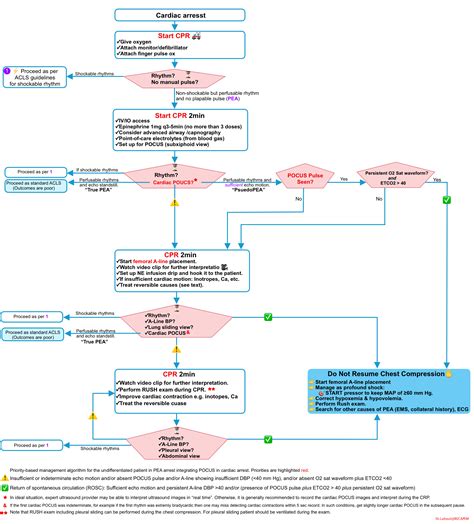 Pulseless Electrical Activity In The Emergency Department | RECAPEM