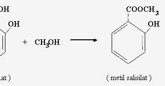 TEKNIK KIMIA: Pembuatan Metil Salisilat dari Asam Salisilat dan Metanol