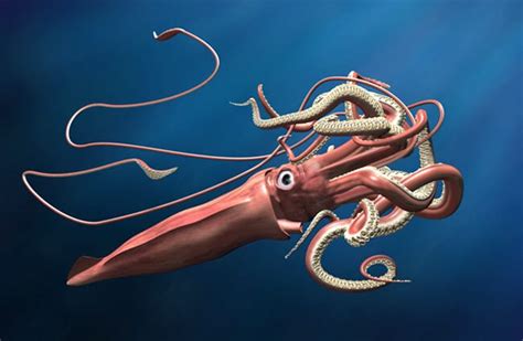 Giant Squid - Description, Habitat, Image, Diet, and Interesting Facts