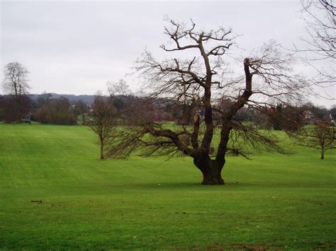 7 Scenic Parks in Croydon Borough to Clear the Mind — South London Club