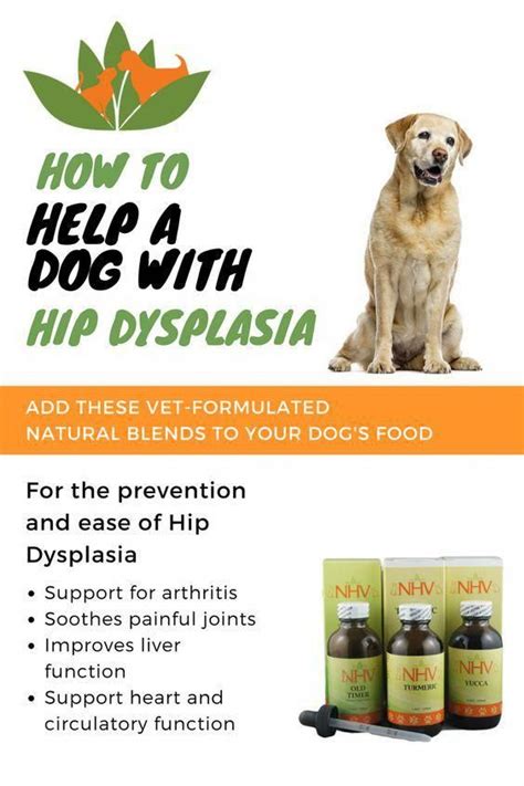 Hip Dysplasia Kit in 2020 | Hip dysplasia, Natural dog remedies, Dog ...