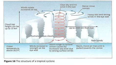 Parts Of A Cyclone Diagram