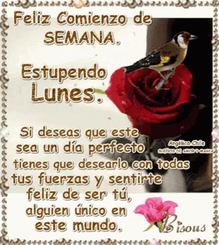 Feliz Comienzo De Semana Estupendo Lunes GIF - Feliz Comienzo De Semana ...