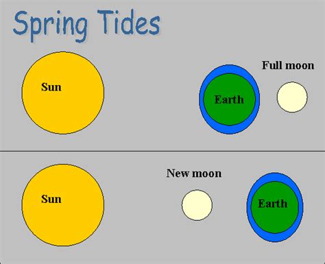 Spring Tides & Neap Tides