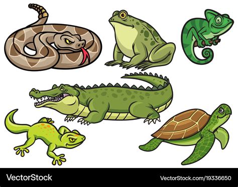 Set of reptile cartoon Royalty Free Vector Image