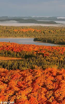 Guide to Minnesota's Best Fall Colors | Parks & Trails