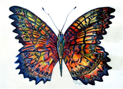 Butterfly Painting - Butterfly Fine Art Print | Butterfly drawing ...