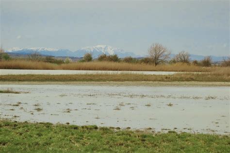 Loss of habitat causes double damage to species richness