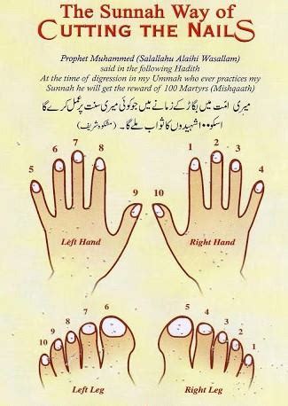 The Islamic Way of Cutting the Nails Zaid bin Arqam (may Allah be ...