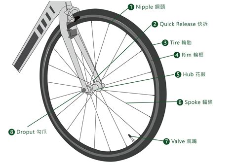 Bicycle Wheel Parts Diagram