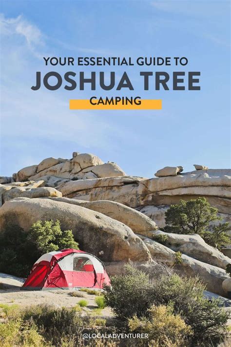 Joshua Tree Camping - What You Need to Know » Local Adventurer