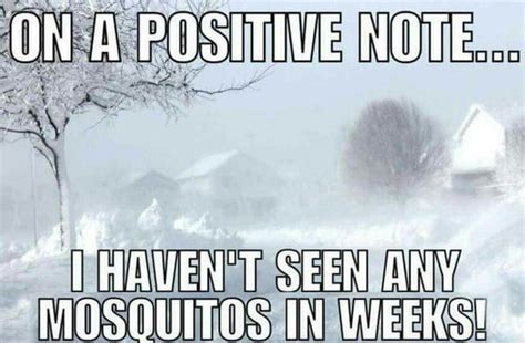 Cold Weather Jokes Images ~ Tricia's Tidbits: Cold Weather Humor ...