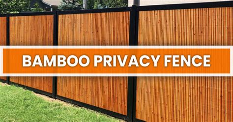 Bamboo Privacy Fence: A Comprehensive DIY Guide