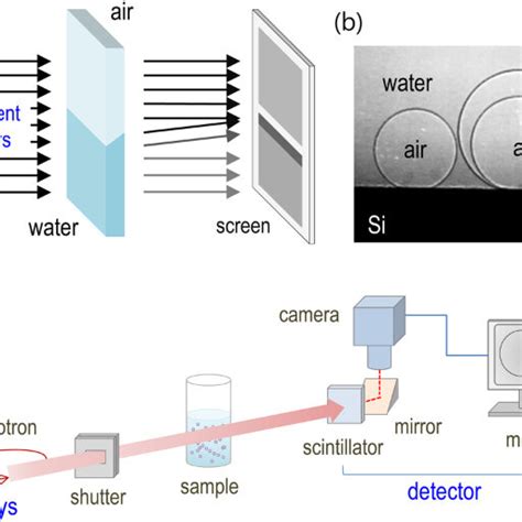 Phase-contrast x-ray imaging. (a) Edge enhancement effect of ...