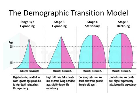 [Solved] In which of the following demographic transition stages, bot