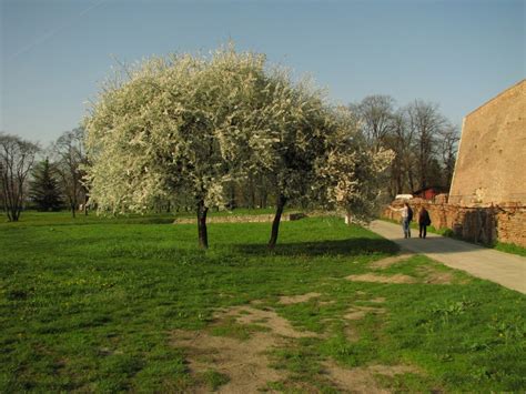 Kalemegdan park and Belgrade fortress - Belgrade my way