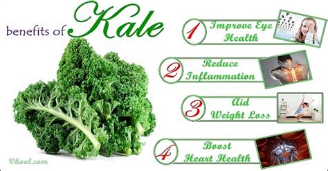 Top 10 Healthy Benefits Of Kale