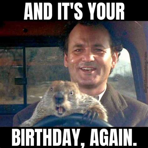 From Shadow to Sunshine: Hilarious Groundhog Day 2024 Memes | Happy ...