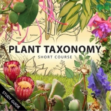 Plant Taxonomy Online Course | Botany | Identifying plants