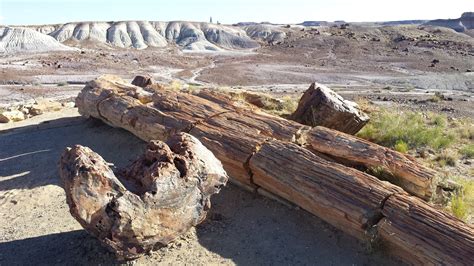 Petrified Forest National Park & Painted Desert - Always On Liberty