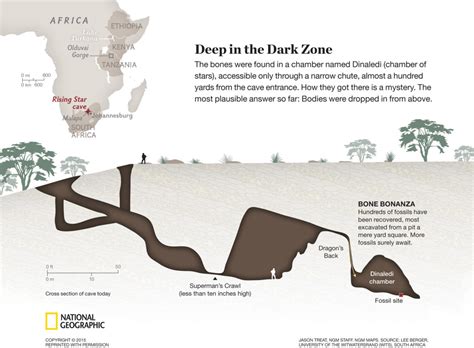 From the Cradle to the grave? #NalediFossils » SciBraai