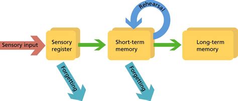 Short-Term Memory Loss Causes and Solutions | Short term memory loss ...