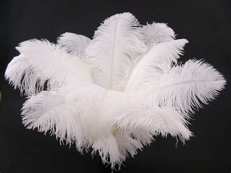 Finest Premium Ostrich Feathers 20-25″ – Jaffe