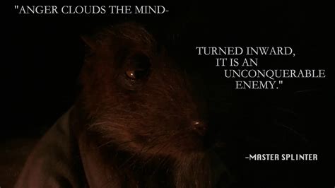 Master Splinter Quotes. QuotesGram