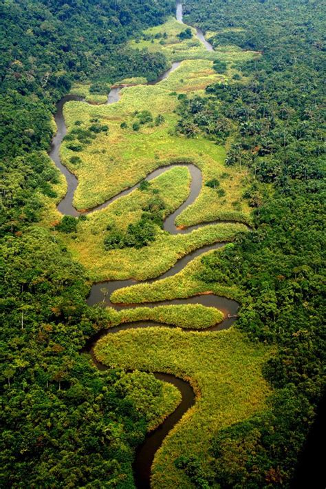 Meandering River in the Congo, River Zaire, Africa | Places | Congo ...