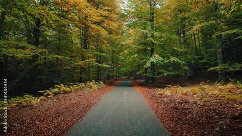 mountain road traveled with autumn colors Stock Video | Adobe Stock