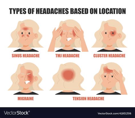 Types of headache based on location isolated Vector Image