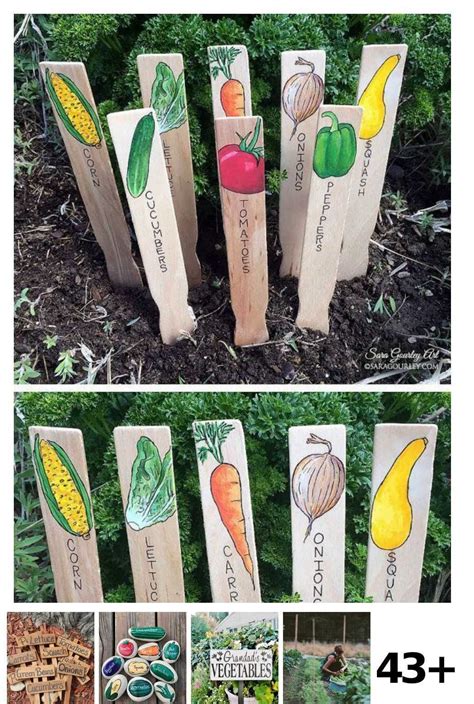 Pin on vegetable garden boxes