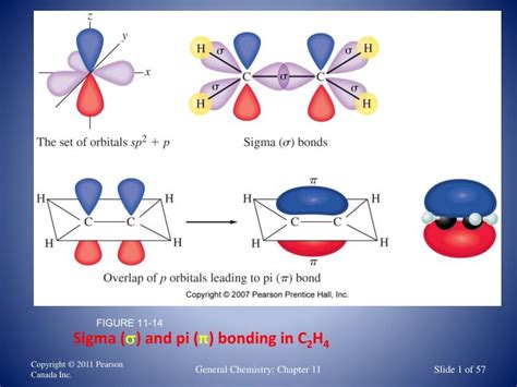 PPT - Sigma ( s ) and pi ( π ) bonding in C 2 H 4 PowerPoint ...