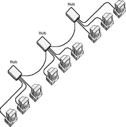 Star Bus Topology Diagram