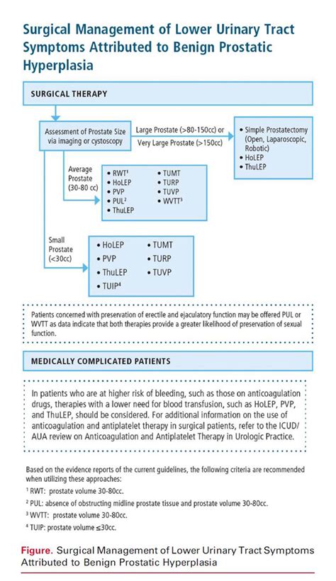 AUA Surgical Management of BPH (2021) - HoLEP Treatment for BPH