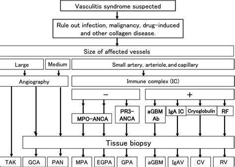 Vasculitis Treatment