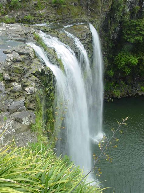 Whangarei Falls - Waterfall in a Suburban Park in Whangarei