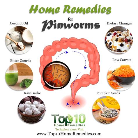 Home Remedies for Pinworms | Top 10 Home Remedies