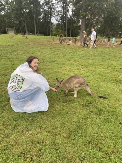 Lone Pine Koala Sanctuary 2024 Review + Guide