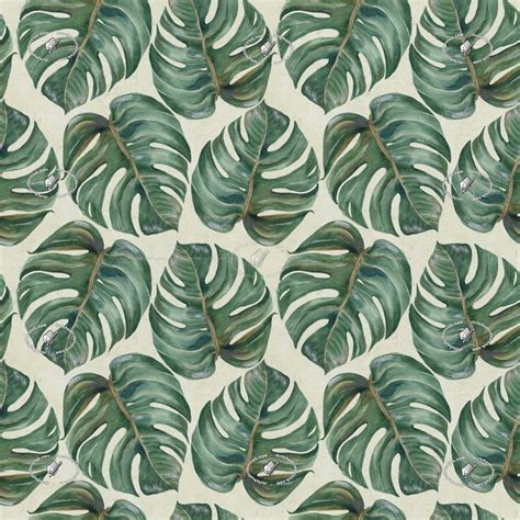 Tropical leaves wallpaper texture seamless 20936