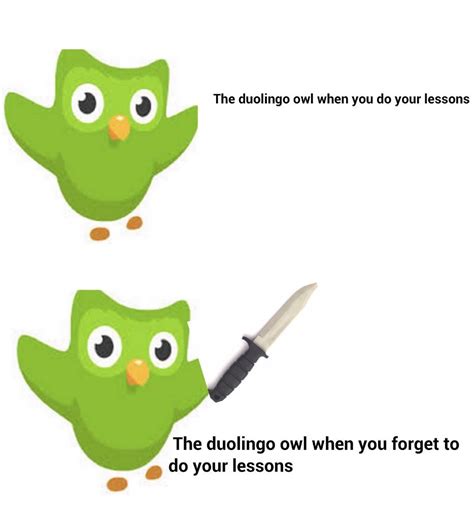 Look out for the duolingo owl : r/dankmemes