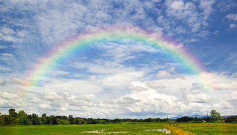 Colors of the rainbow - crazypoliz